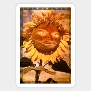 Sun Flower Sticker